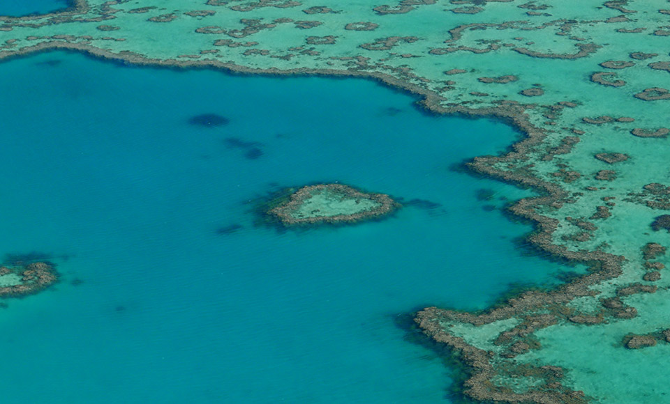 Heart Reef Whitsundays
